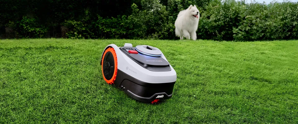 The Navimow i2 AWD mowing a lawn in front of a hedge, with a white dog in the background