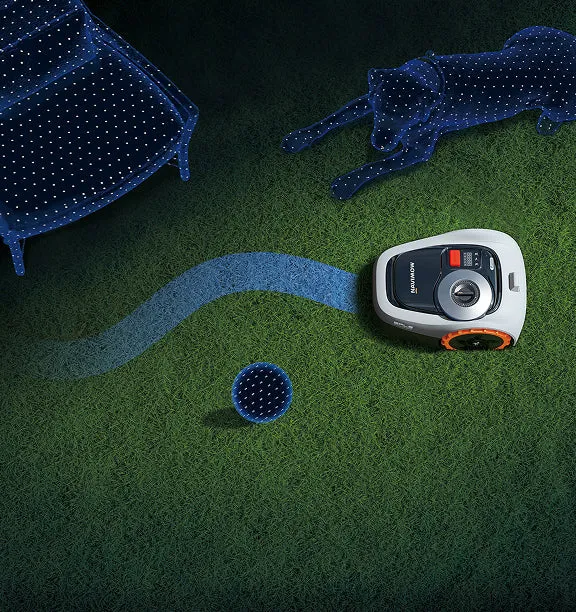 Top-down illustration: the VisionFence camera spots a dog, a seat and a ball, and the mower plots a path around them
